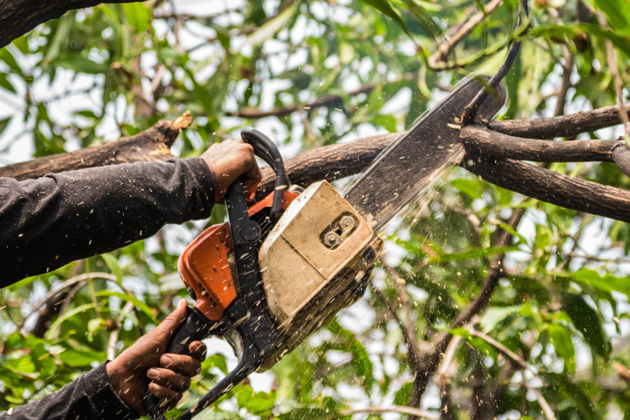 close up of a chainsaw during tree removal service plantation fl